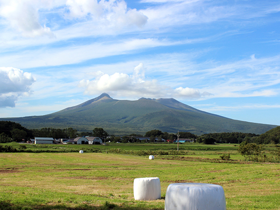 函館の観光スポットをめぐるレストランバス北海道in函館!