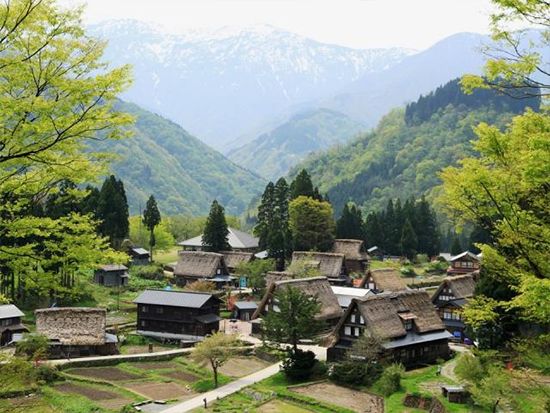 世界遺産の絶景を満喫する金沢駅発の南砺市日帰り旅