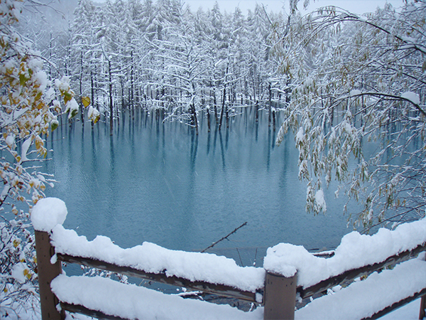 Shirogane blue pond (image)