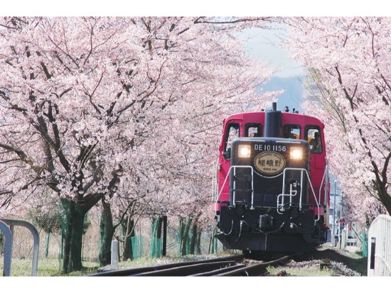 嵯峨野トロッコ