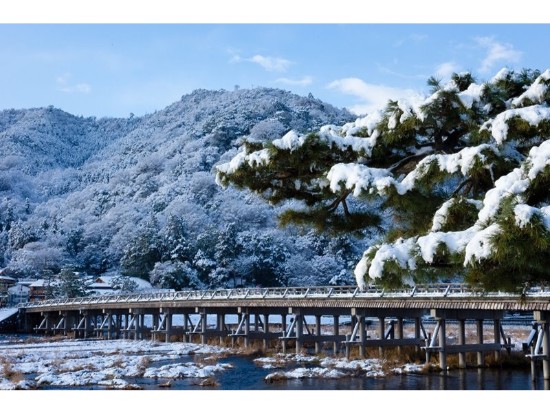 嵐山、金閣寺、奈良東大寺 バスのみ
