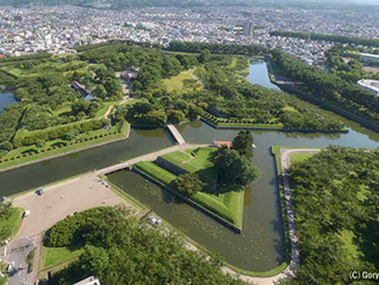 五稜郭(イメージ)