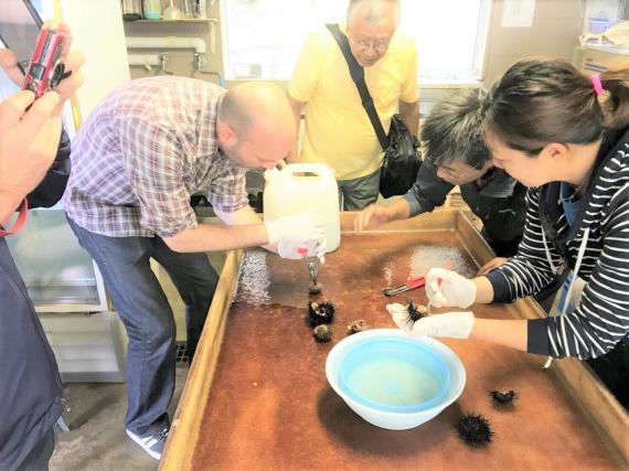 山と海の恵みで育つウニを堪能。地元余市のウニ漁師さんに教わるウニむき体験