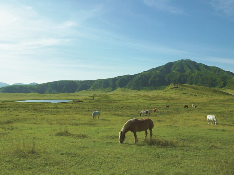 草千里の絶景