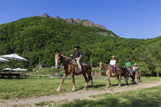 札幌の奥座敷、山々に囲まれた牧場で気軽に乗馬を!ワイルドな乗馬体験や基礎レッスンができます♪