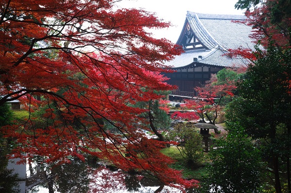 金戒光明寺<特別公開>