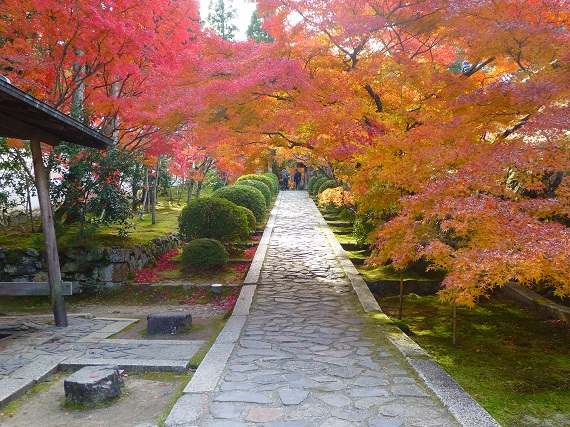 光明寺