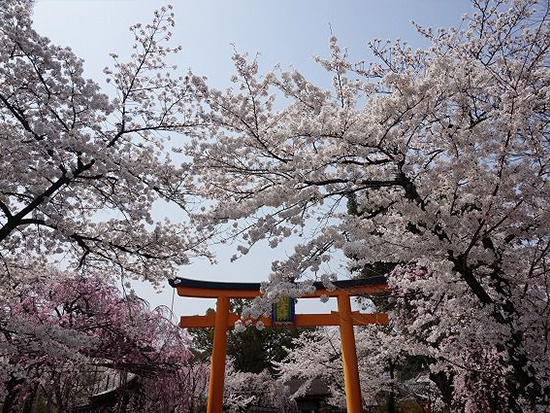 平野神社