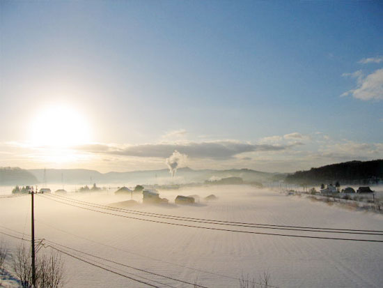 【北海道=富良野】氷点下の世界で水と氷の芸術作品を探しに行こう!朝の川のフシギ!【冬】