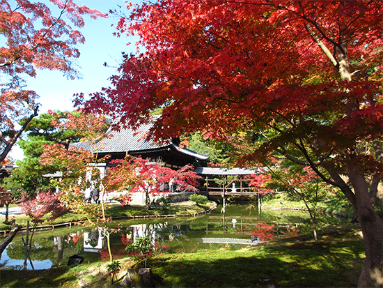 高台寺(秋)