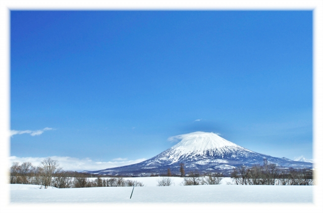 ニセコ高橋牧場