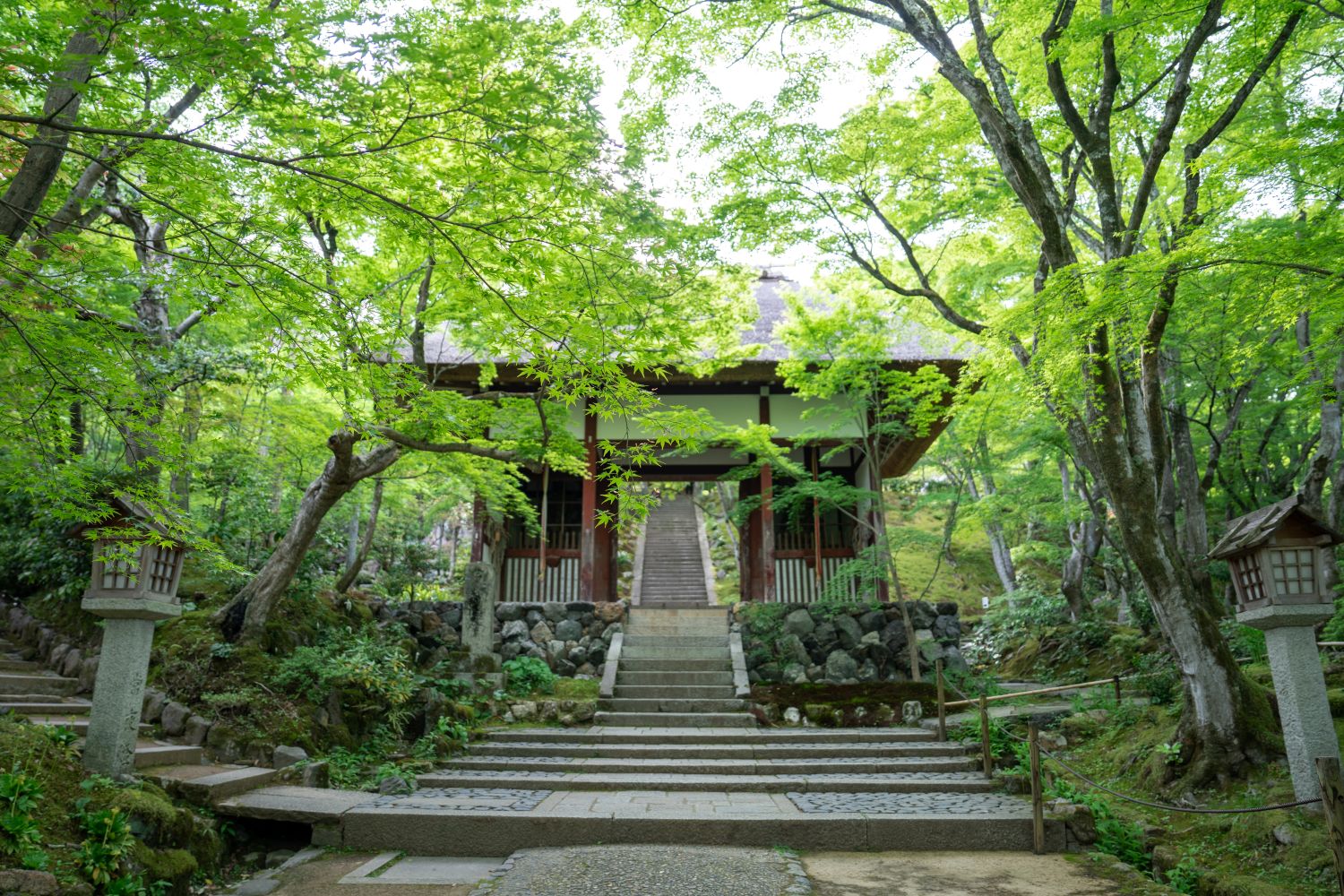 人力車のえびす屋