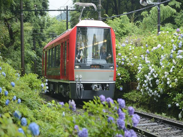 【箱根】★須兌換實體票★箱根周遊券（兌換券）