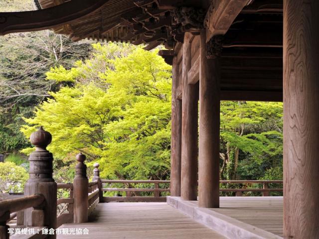 人力車のえびす屋