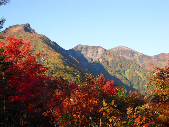 黒岳がある大雪山国立公園は、「北海道の屋根」と秋の燃える紅葉を楽しみたいのでしたら、このコースがおすすめです。